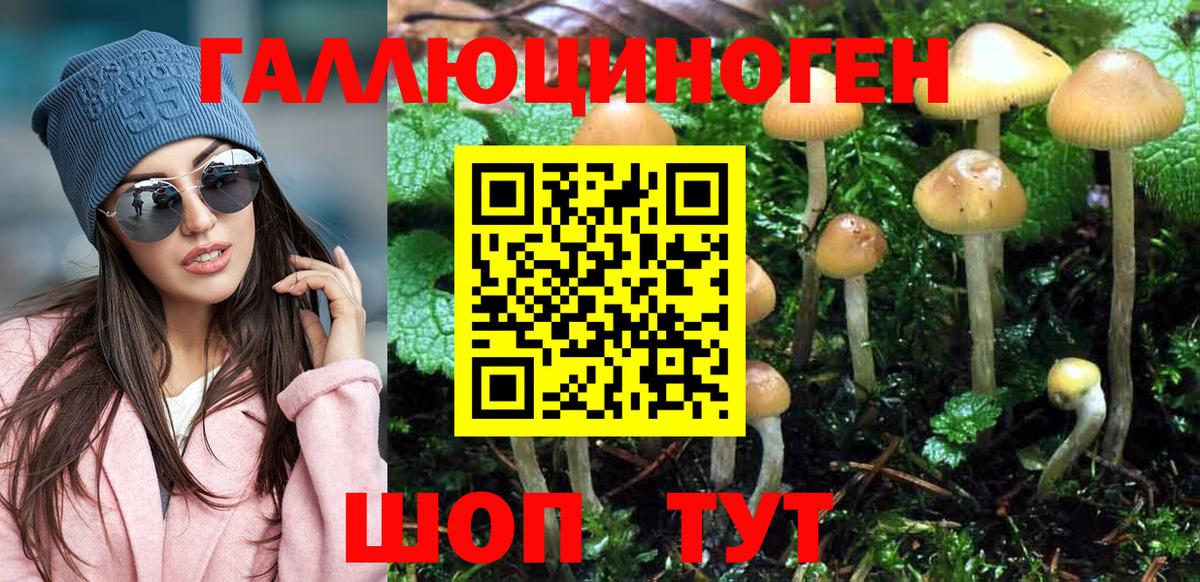 где купить   Галлюциногенные грибы Magic Shrooms  Нижнеудинск  Вход с VPN  Псилоцибиновые грибы Psilocybe 