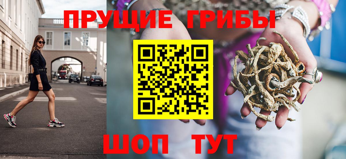 Галлюциногенные грибы Psilocybine cubensis Нижнеудинск